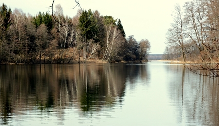 Rezerwat Wielki Bytyń, fot. P. Buczkowski.