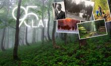 Na straży przyrody i polskich lasów już 95 lat