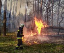 W lasach rośnie zagrożenie pożarowe