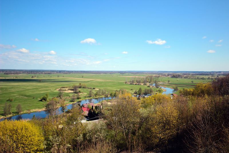 Wyloguj się do lasu cz. 3