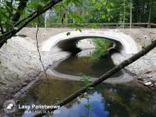 Leśnicy zbudowali most na rzece Korytnicy