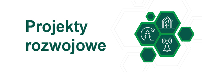 Projekty&#x20;rozwojowe&#x2e;