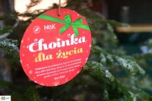 Choinka dla życia