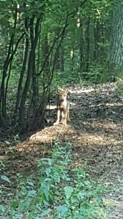 &#x22;Młodzieńcza&#x20;ciekawość&#x22;&#x0a;Fot&#x2e;&#x20;Maciej&#x20;Grus