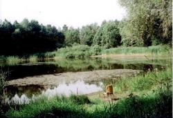 Oczekiwania&#x2e;&#x20;Foto&#x3a;&#x20;Bolesław&#x20;Płachta