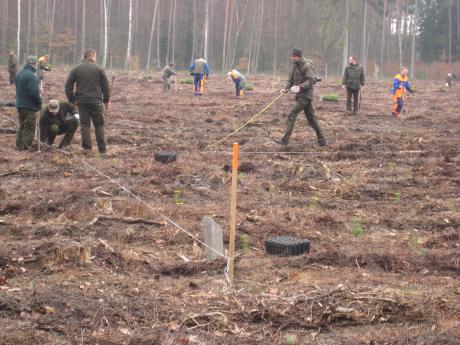 23 miliony nowych drzew i krzewów