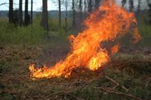 Katastrofalne zagrożenie pożarowe w lasach