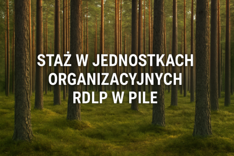 OGŁOSZENIE